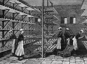 Making Camembert 1870
