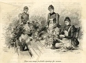 Arrangements Prints: Making Floral Displays
