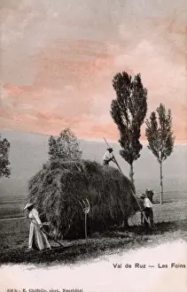 Shines Prints: Making Hay whilst the sun shines in Switzerland
