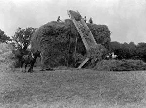 Making a Haystack