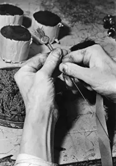 Making Poppies