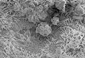 Micro Photography Gallery: Malachite
