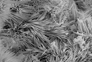 Micro Photography Gallery: Malachite