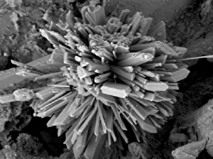 Micro Photography Gallery: Malachite