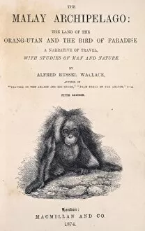 Alfred Russel Gallery: The Malay Archipelago