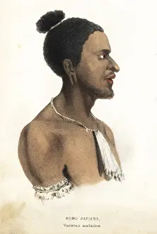 Bildersaal Prints: Malayan man