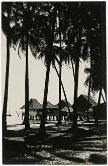 Stilt Collection: Malaysia - Coastal Village with stilt houses