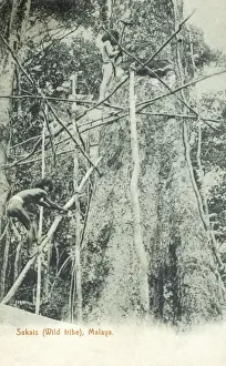Malaysia - Men of the Sakai tribe