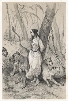 Aires Gallery: Maldonata and the Lion