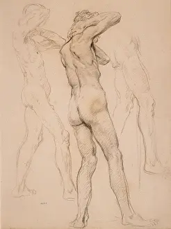 Male Figure Studies