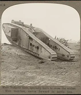 Specially Prints: Male Tadpole Tank, Wwi