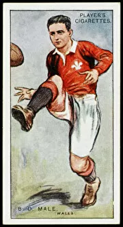 Cardiff Gallery: Male / Welsh Rugby