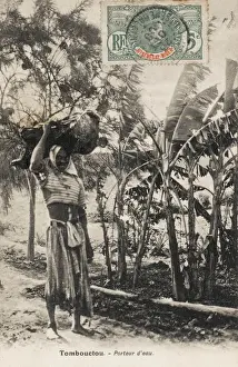 Mali Prints: Mali - Timbuktu - Water Carrier and Banana plant
