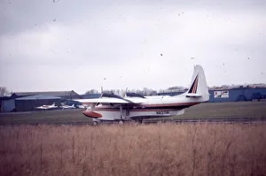 Antilles Collection: Mallard - N83781