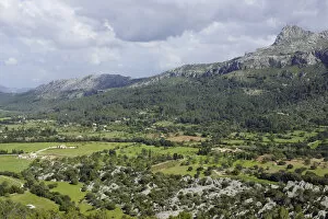 Images Dated 20th April 2013: Mallorca, Spain - Serra de Tramuntana Landscape