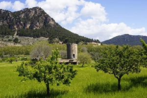 Images Dated 21st April 2013: Mallorca, Spain, Valldemossa - old windmill tower