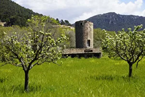 Images Dated 21st April 2013: Mallorca, Spain, Valldemossa - old windmill tower