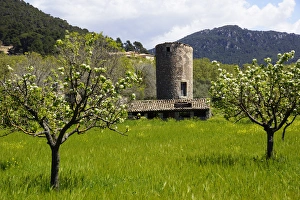 Images Dated 21st April 2013: Mallorca, Spain, Valldemossa - old windmill tower