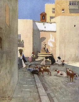 Malta / Valletta Fountain
