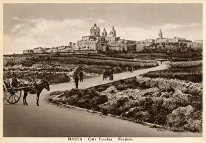 Maltese Prints: Malta - View of Mdina (Citta Vecchia or Citta Notabile)