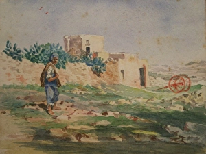 Images Dated 8th August 2011: Maltese Man