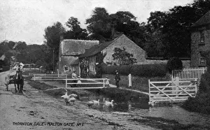 Pond Prints: Malton Gate, Thornton Dale, North Yorkshire