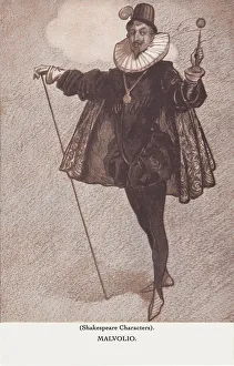 Malvolio