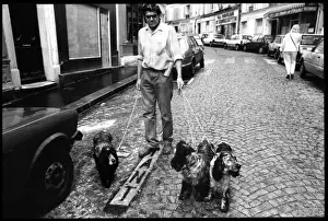 Man with 3 dogs in Paris Street