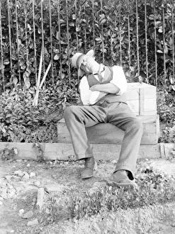 Man asleep in a garden, Mid Wales