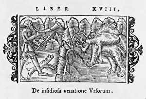 Man & Bear Hunt Deer