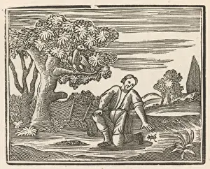Man and Beetle