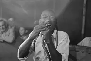 Biting Prints: Man biting snake at sideshow, state fair, Donaldsonville, Lo