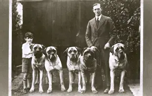 Wrinkled Prints: Man and boy with five large boxer dogs