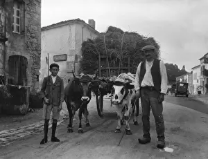Man and boy with ox cart, France