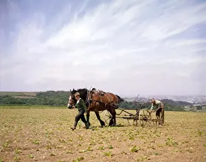Planting Prints: Man and boy, seed drill, field near Plymouth, Devon