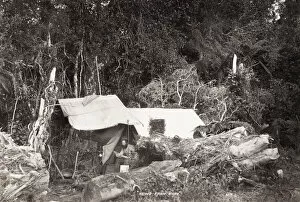 Man in a bush tent, likely New Zealand