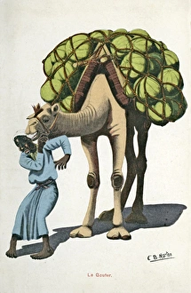 Images Dated 20th February 2017: A man and his camel in Egypt