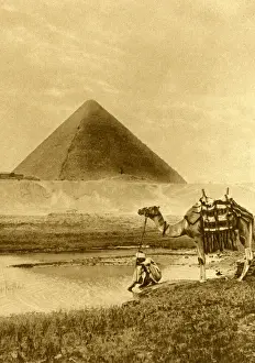 Man with camel near the Pyramid of Cheops, Giza, Egypt