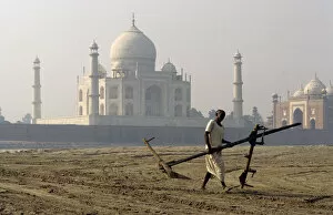 Plow Gallery: A man carries plough, Taj Mahal, India