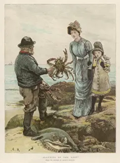 Catches Prints: Man Catches Crab / 1882
