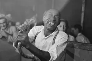 Man chewing piece of snake which he has just bitten off, sta