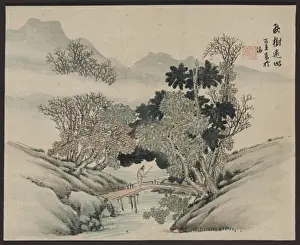 Over Hanging Prints: A man crossing a bridge beneath overhanging trees