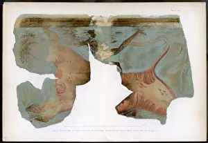 Mycenae Prints: Man dancing on a bull, palace at Tiryns, Greece