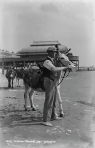 Man with a Donkey on the Beach