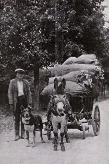 Images Dated 28th August 2018: Man with donkey and dog on a road in France