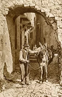 Alpes Gallery: Man and donkey in Puget-Theniers, Alpes-Maritimes, France