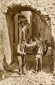 Man and donkey in Puget-Theniers, Alpes-Maritimes, France