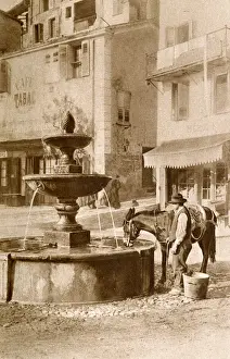 Man and donkey in Puget-Theniers, Alpes-Maritimes, France