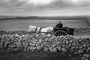 Aran Gallery: Man drives pony and trap between dry stone walls, Innishmore