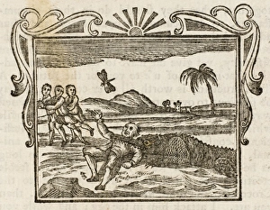 Dodsley Gallery: Man Eaten by Crocodile